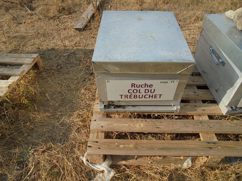 La ruche Col du Trébuchet