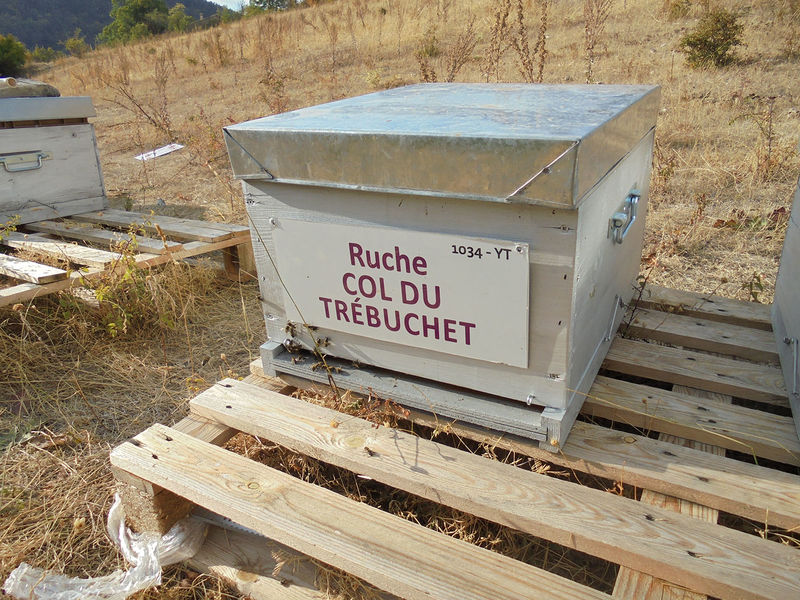 La ruche Col du Trébuchet