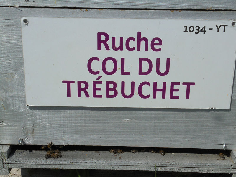 La ruche Col du Trébuchet