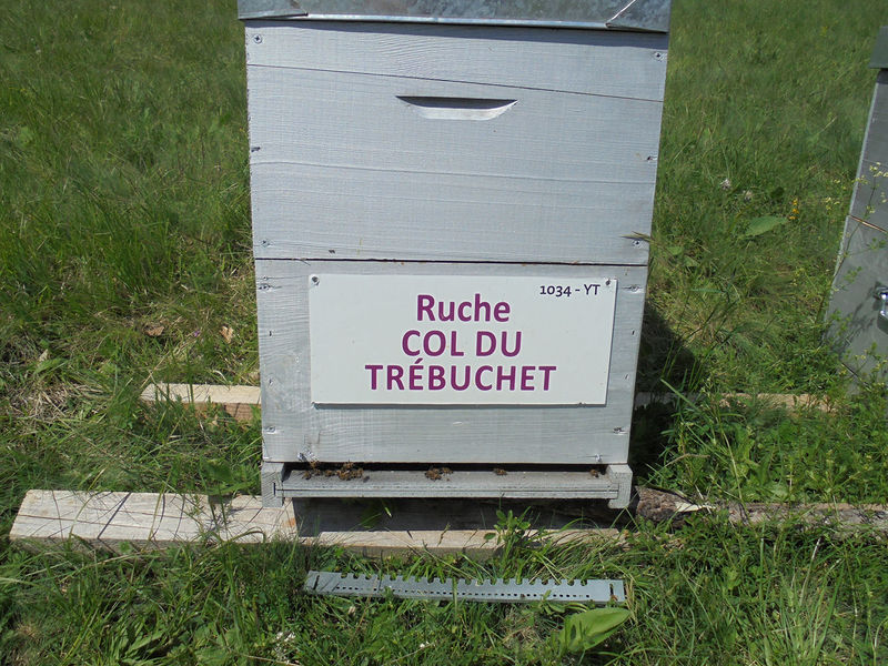 La ruche Col du Trébuchet
