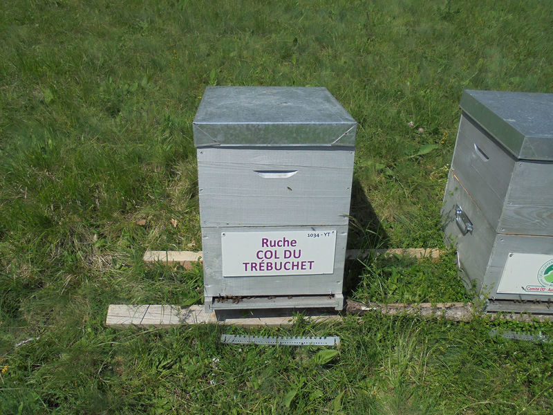 La ruche Col du Trébuchet