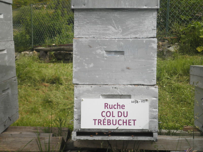 La ruche Col du Trébuchet