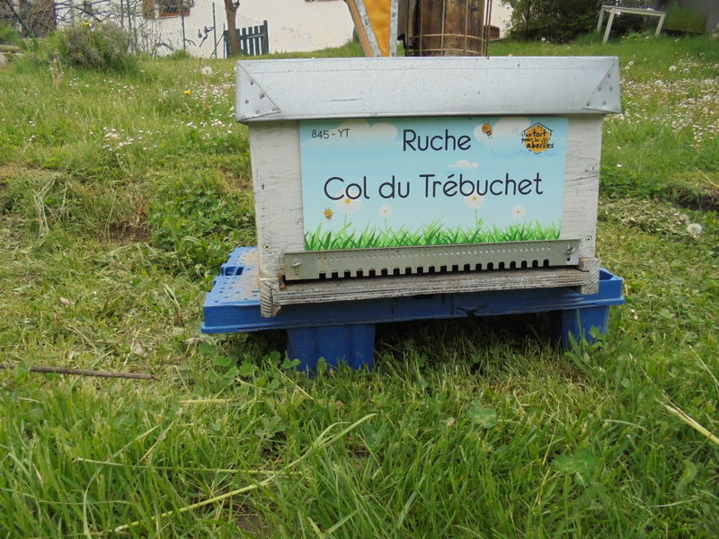 La ruche Col du Trébuchet