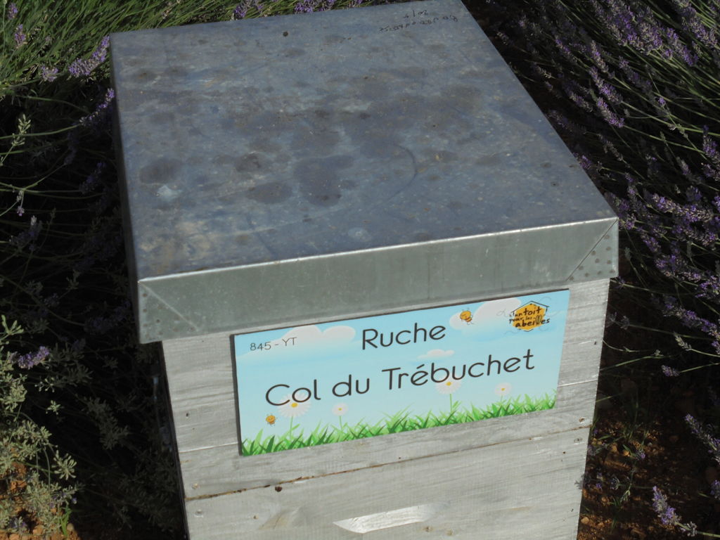 La ruche Col du Trébuchet