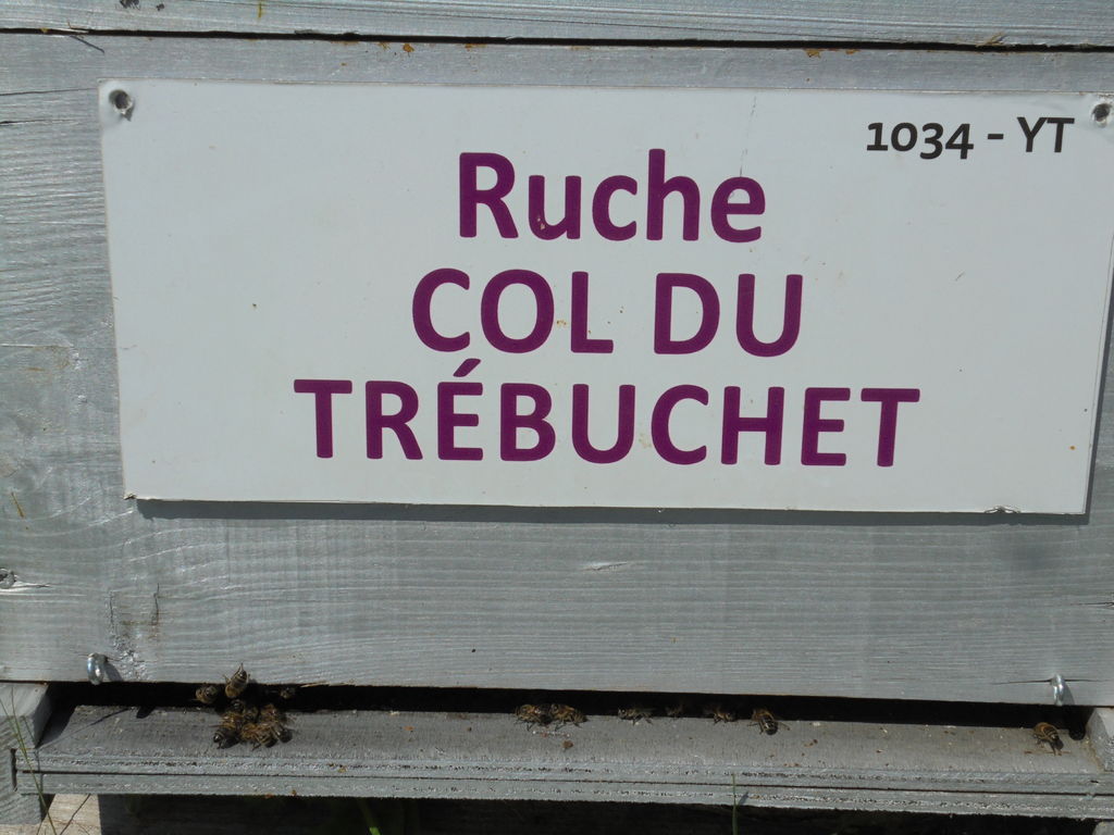 La ruche Col du Trébuchet