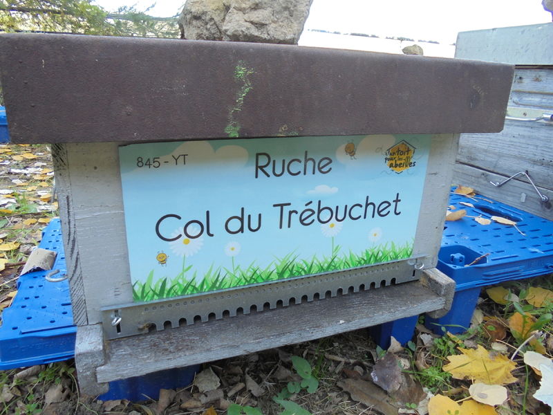 La ruche Col du Trébuchet