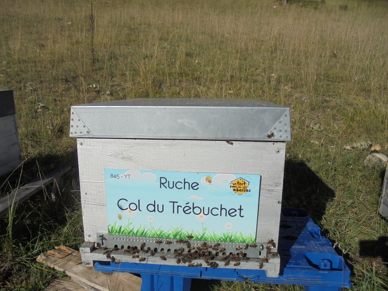 La ruche Col du Trébuchet
