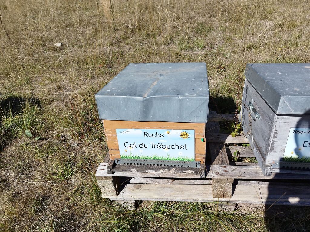 La ruche Col du Trébuchet