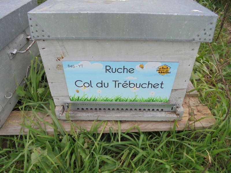 La ruche Col du Trébuchet