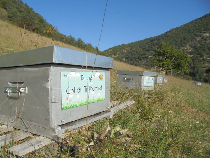 La ruche Col du Trébuchet