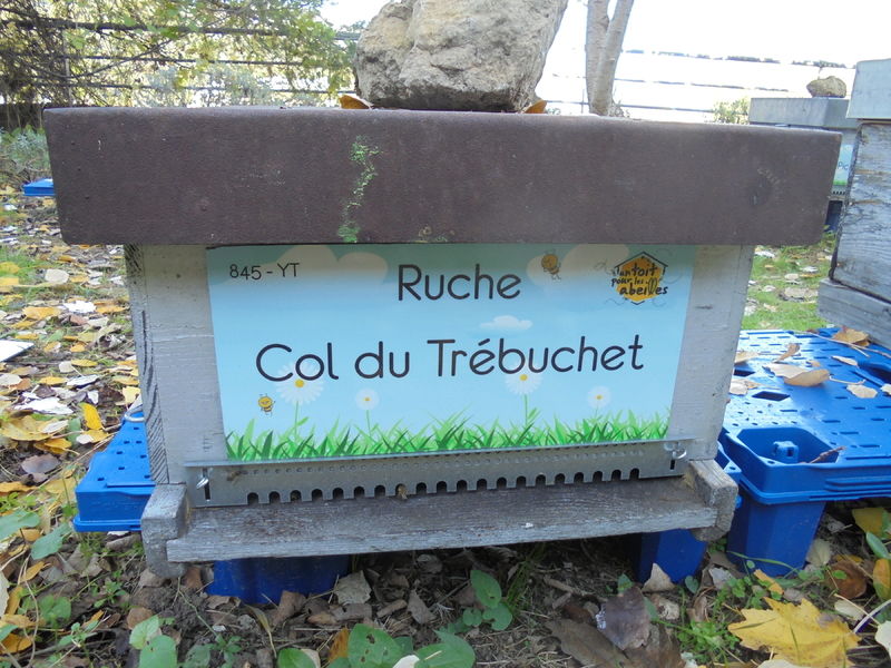 La ruche Col du Trébuchet