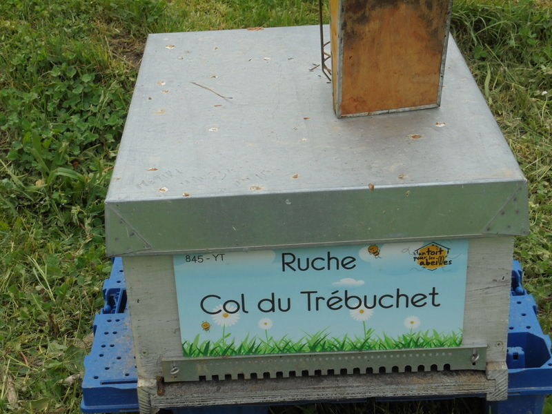 La ruche Col du Trébuchet
