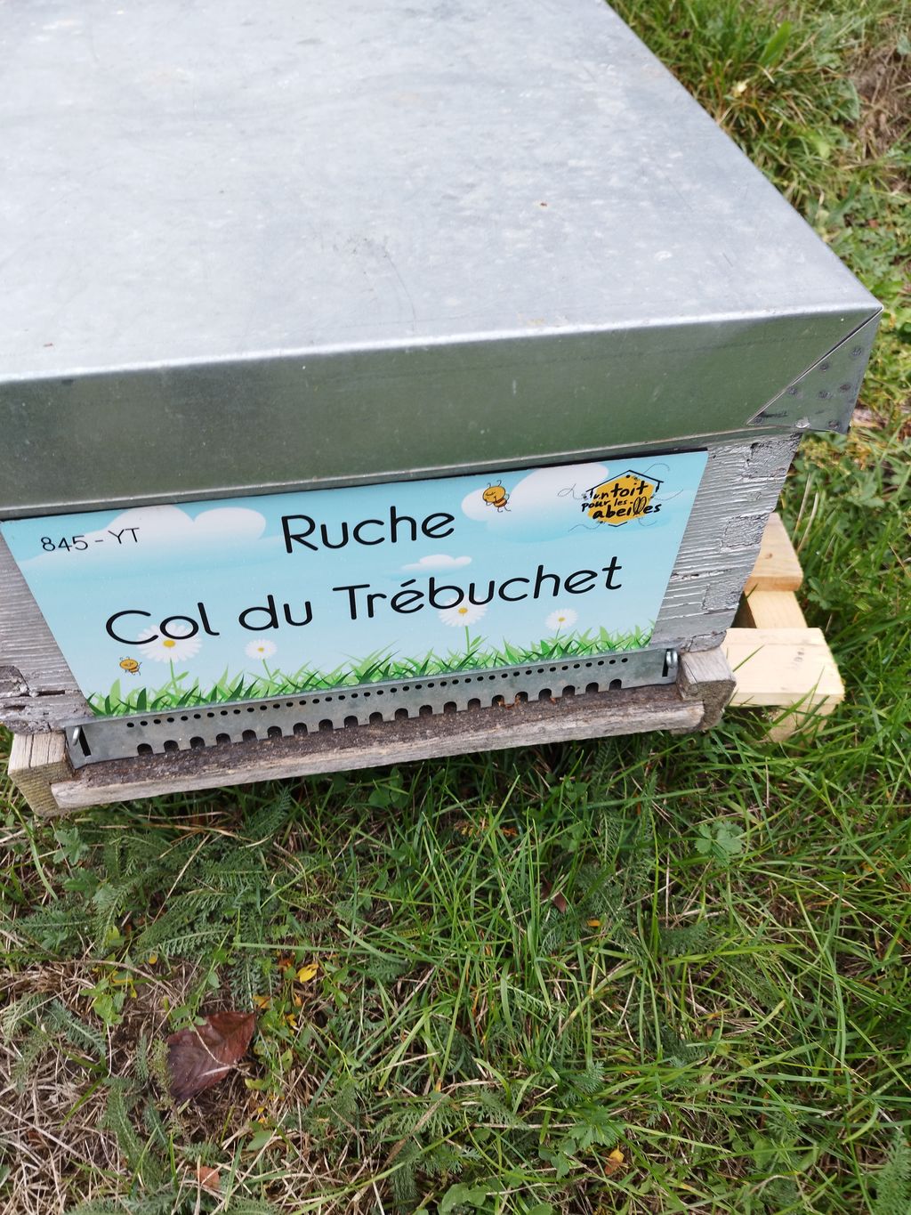 La ruche Col du Trébuchet