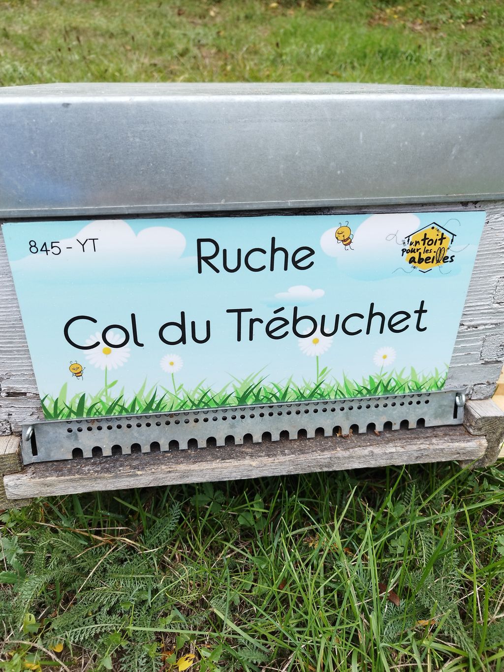 La ruche Col du Trébuchet