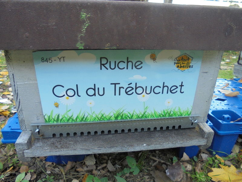 La ruche Col du Trébuchet