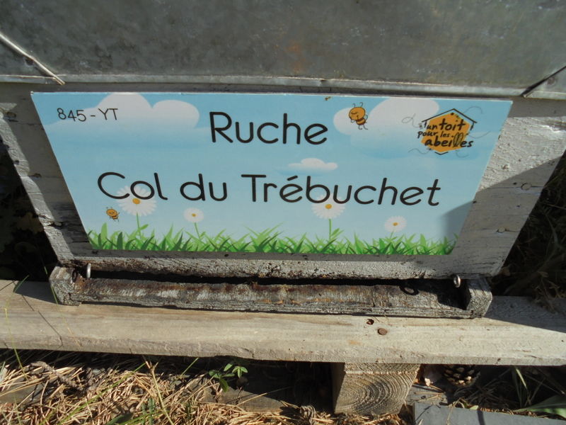 La ruche Col du Trébuchet