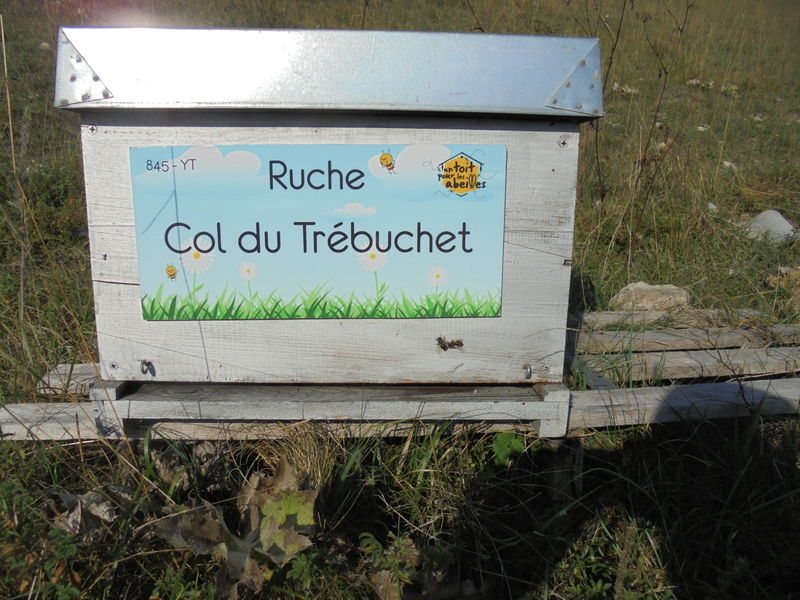 La ruche Col du Trébuchet