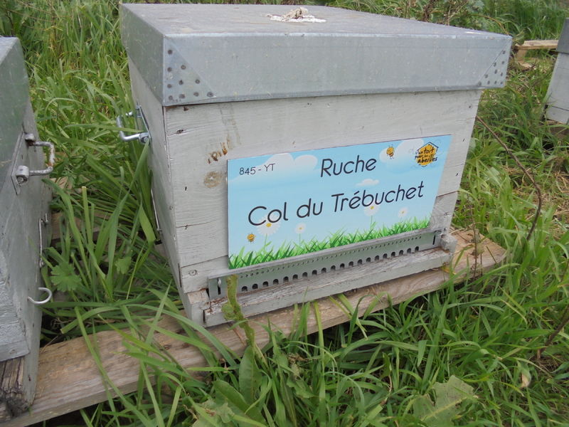 La ruche Col du Trébuchet