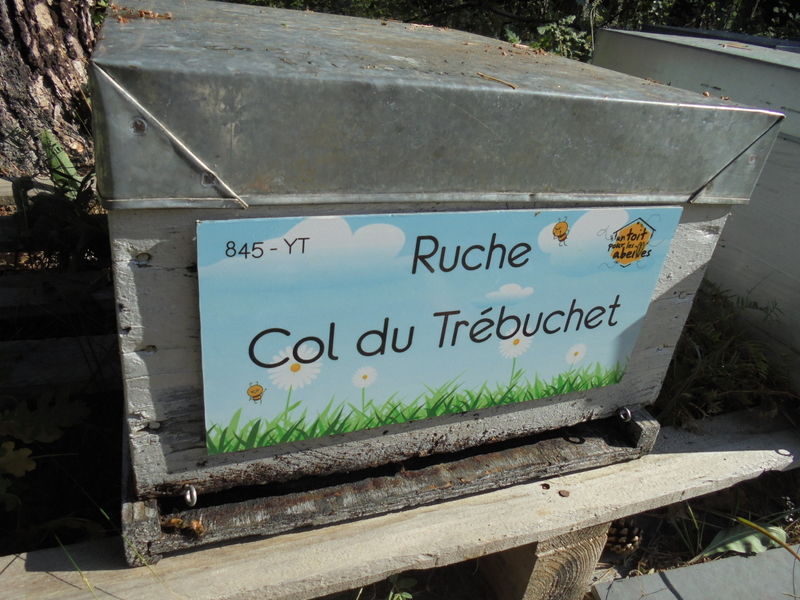 La ruche Col du Trébuchet