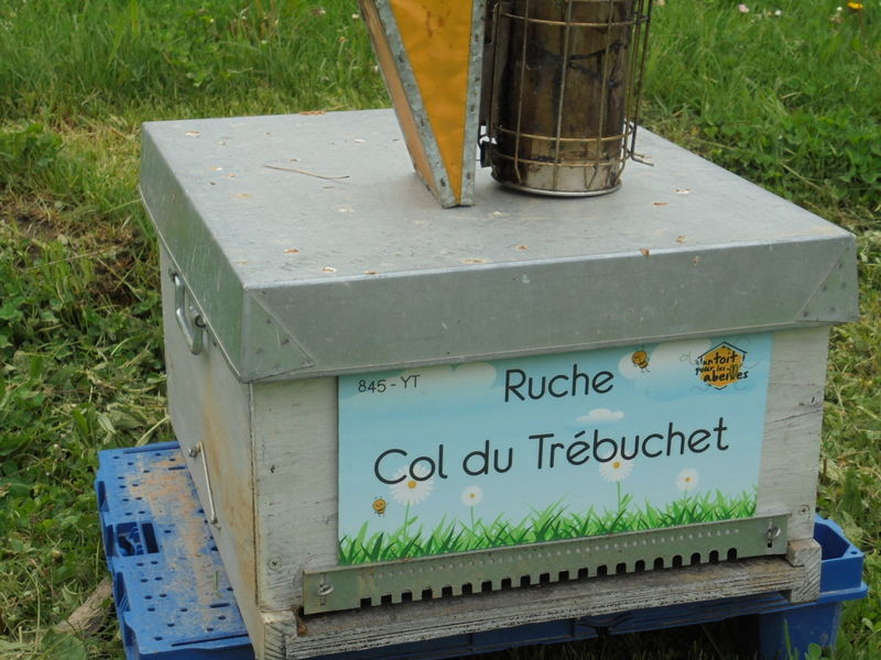 La ruche Col du Trébuchet