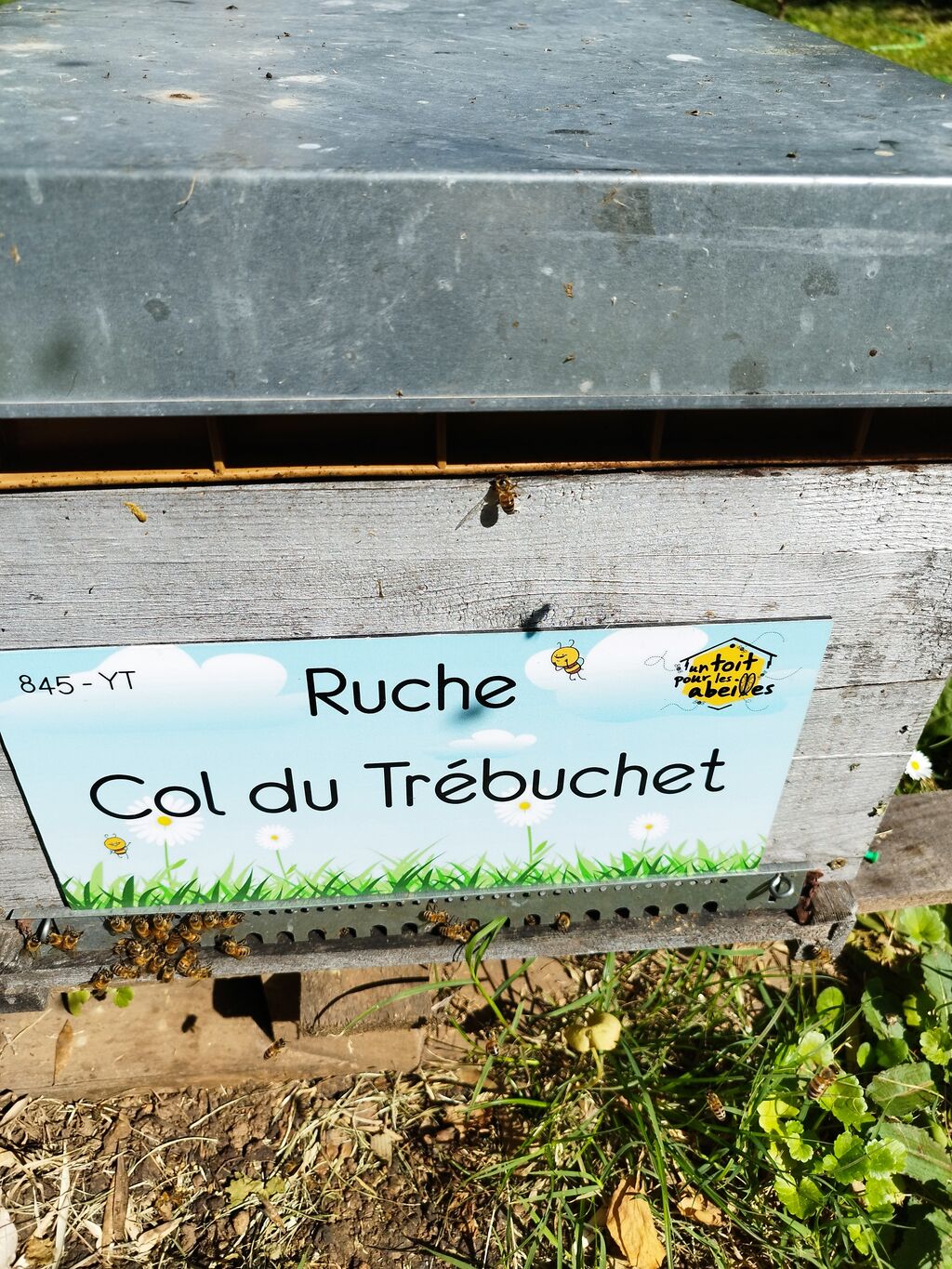 La ruche Col du Trébuchet