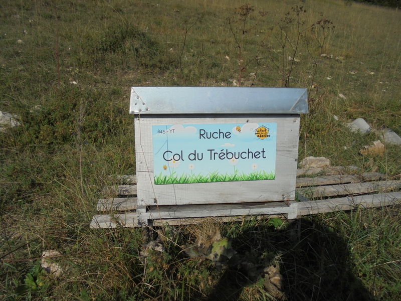 La ruche Col du Trébuchet