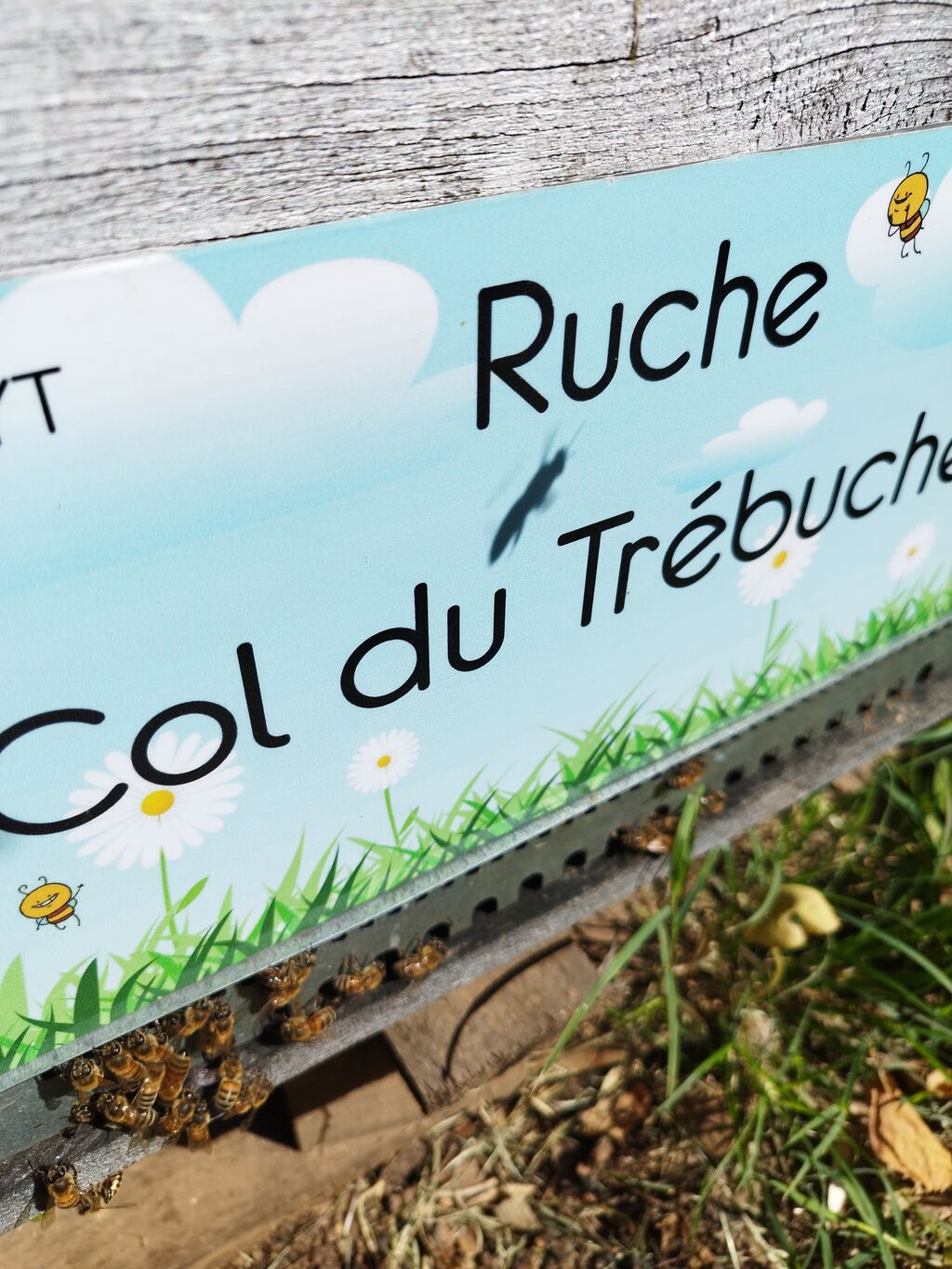 La ruche Col du Trébuchet