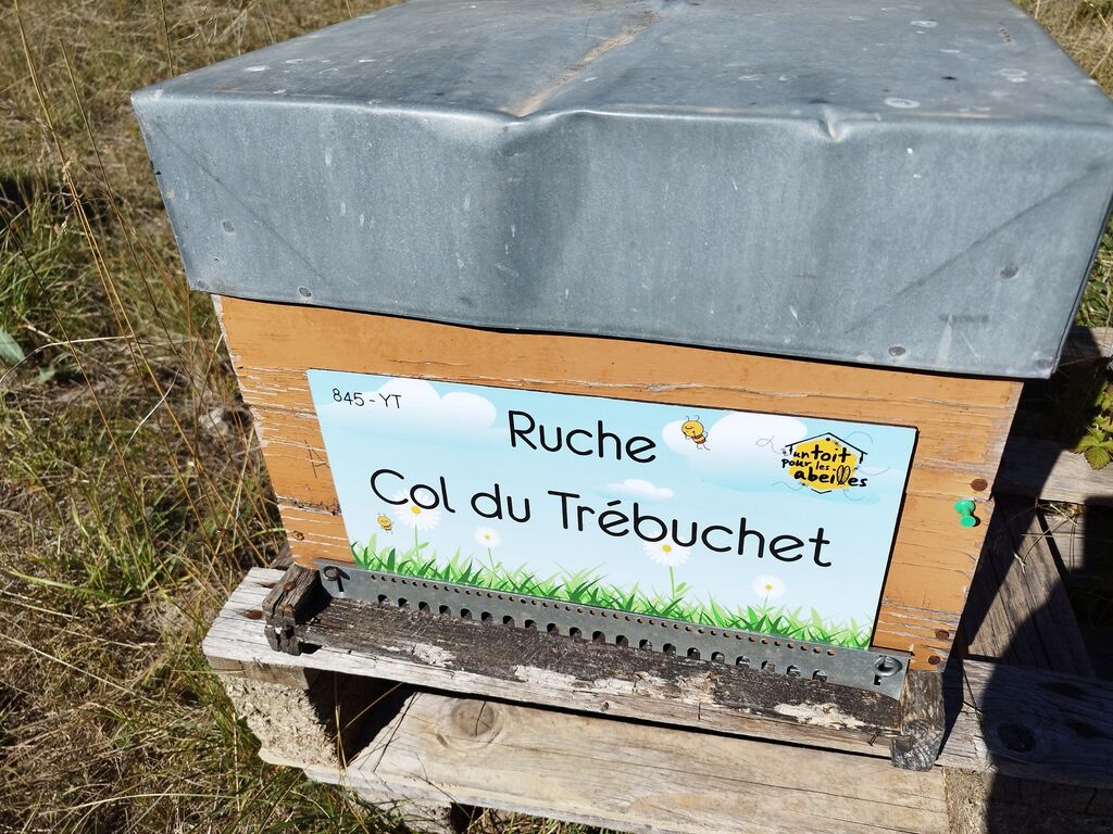 La ruche Col du Trébuchet