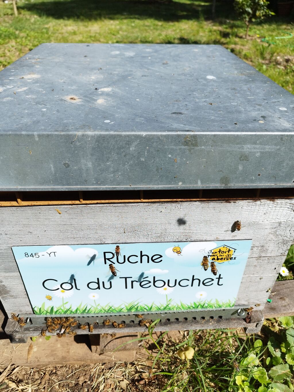 La ruche Col du Trébuchet