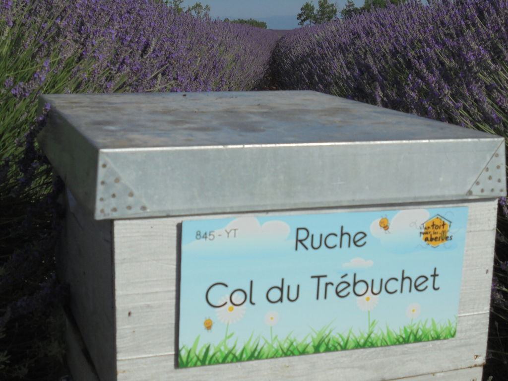 La ruche Col du Trébuchet