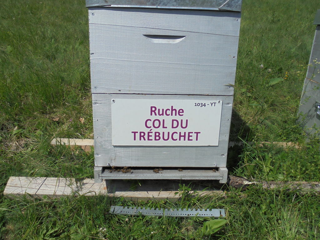 La ruche Col du Trébuchet