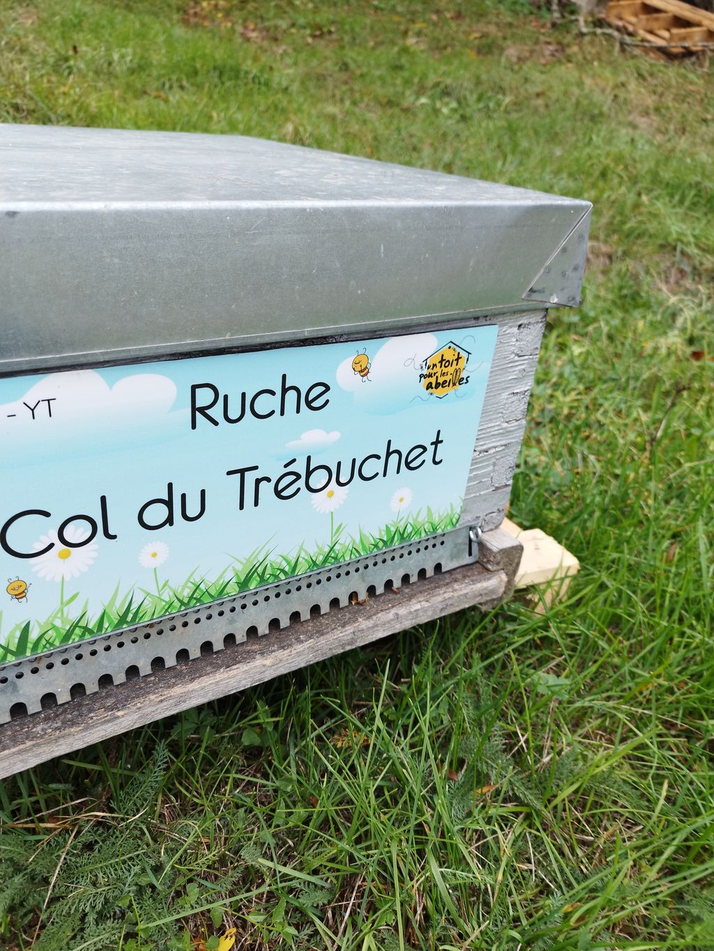 La ruche Col du Trébuchet