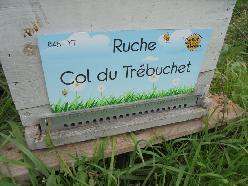 La ruche Col du Trébuchet