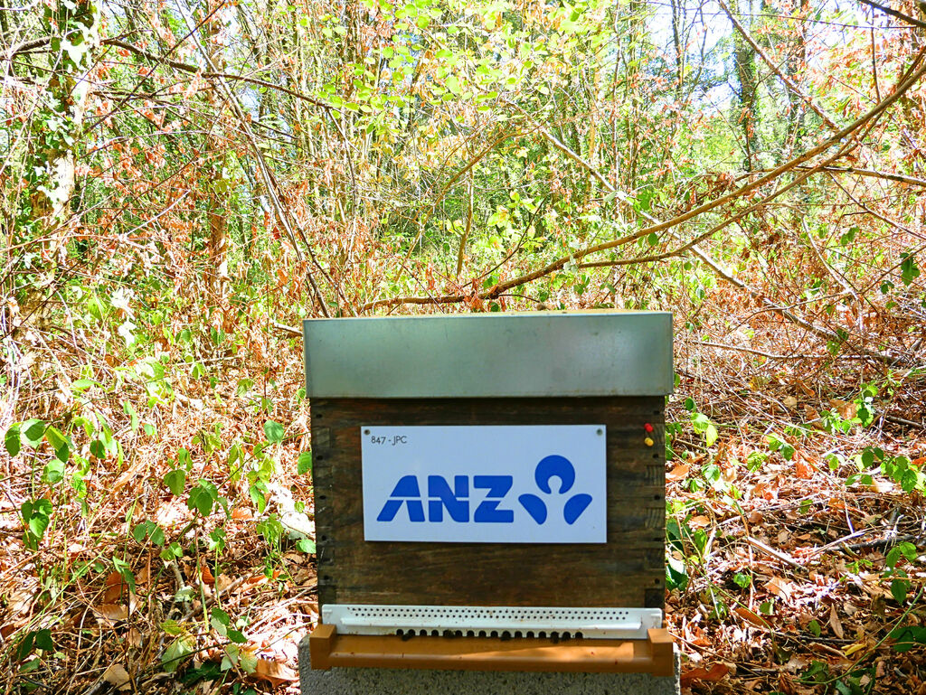 La ruche ANZ France