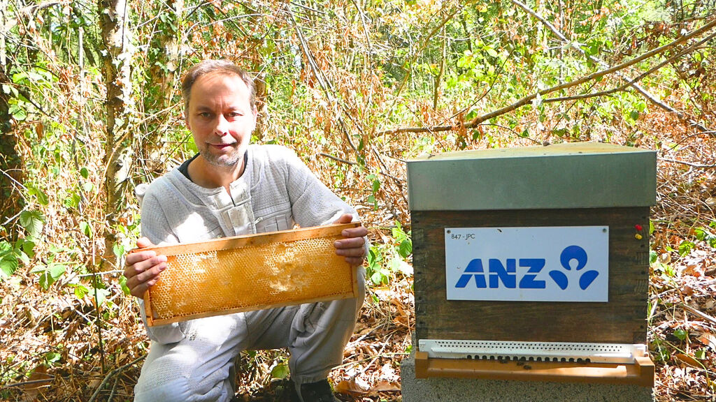 La ruche ANZ France