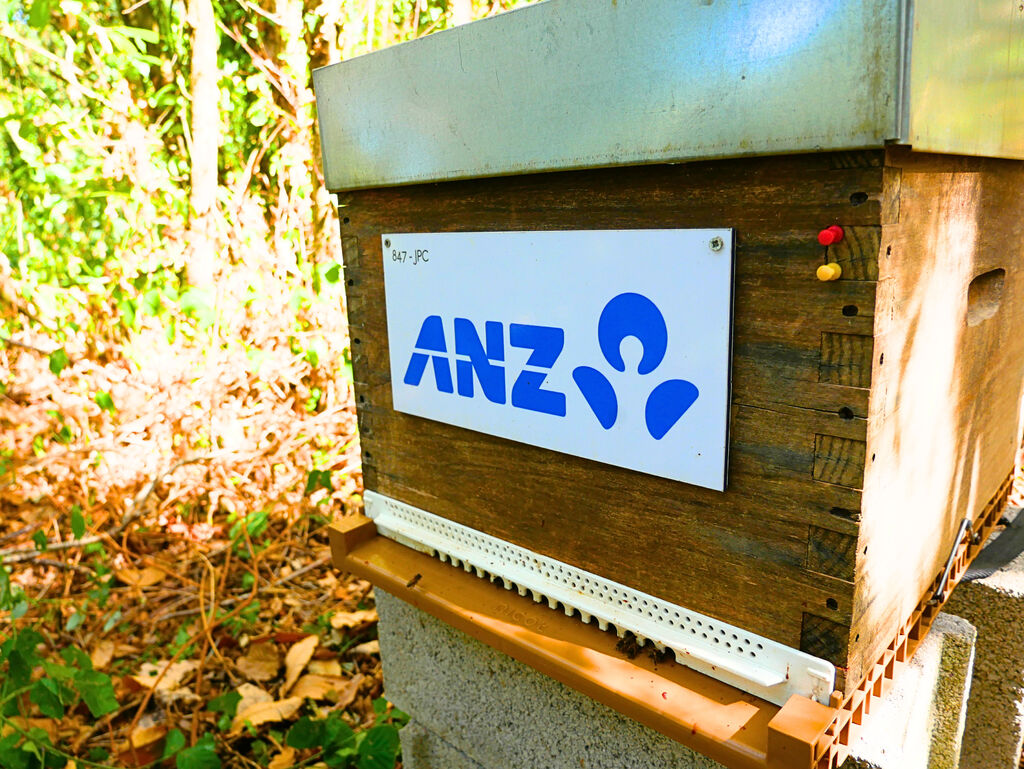 La ruche ANZ France