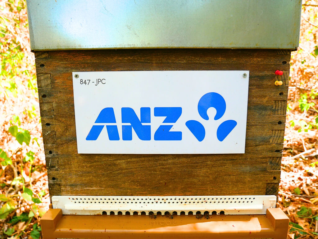 La ruche ANZ France