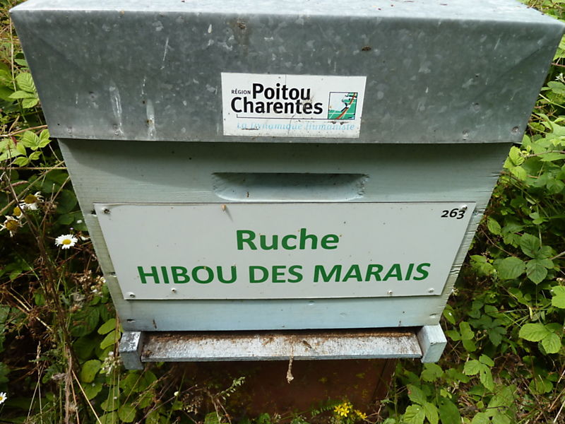 La ruche