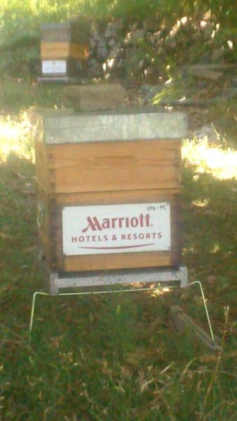 La ruche HOTELS MARRIOTT