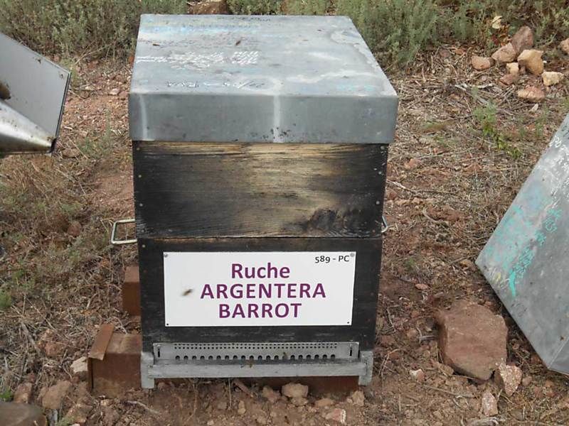La ruche Argentera-Barrot