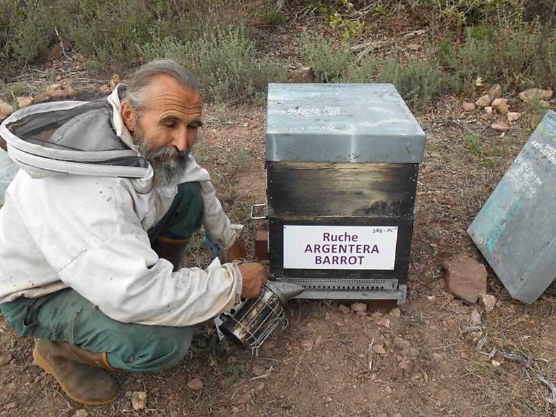 La ruche Argentera-Barrot
