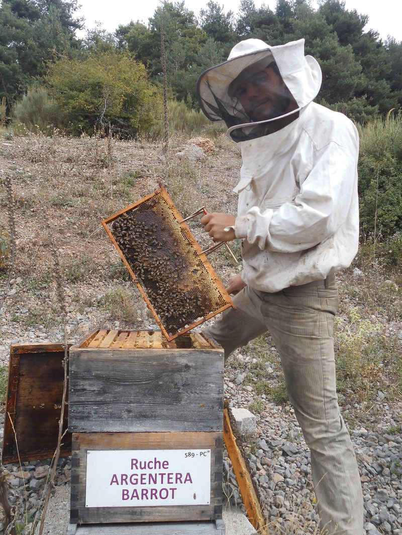 La ruche Argentera-Barrot