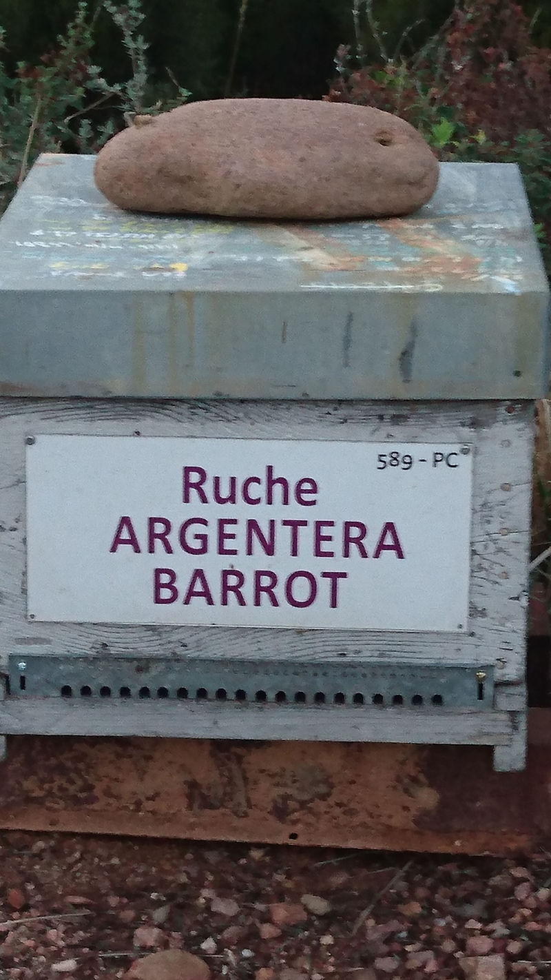 La ruche Argentera-Barrot
