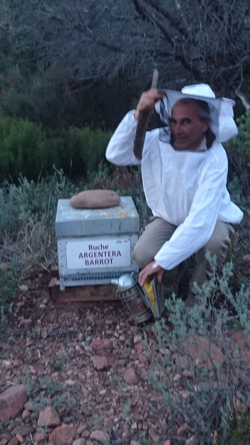 La ruche Argentera-Barrot