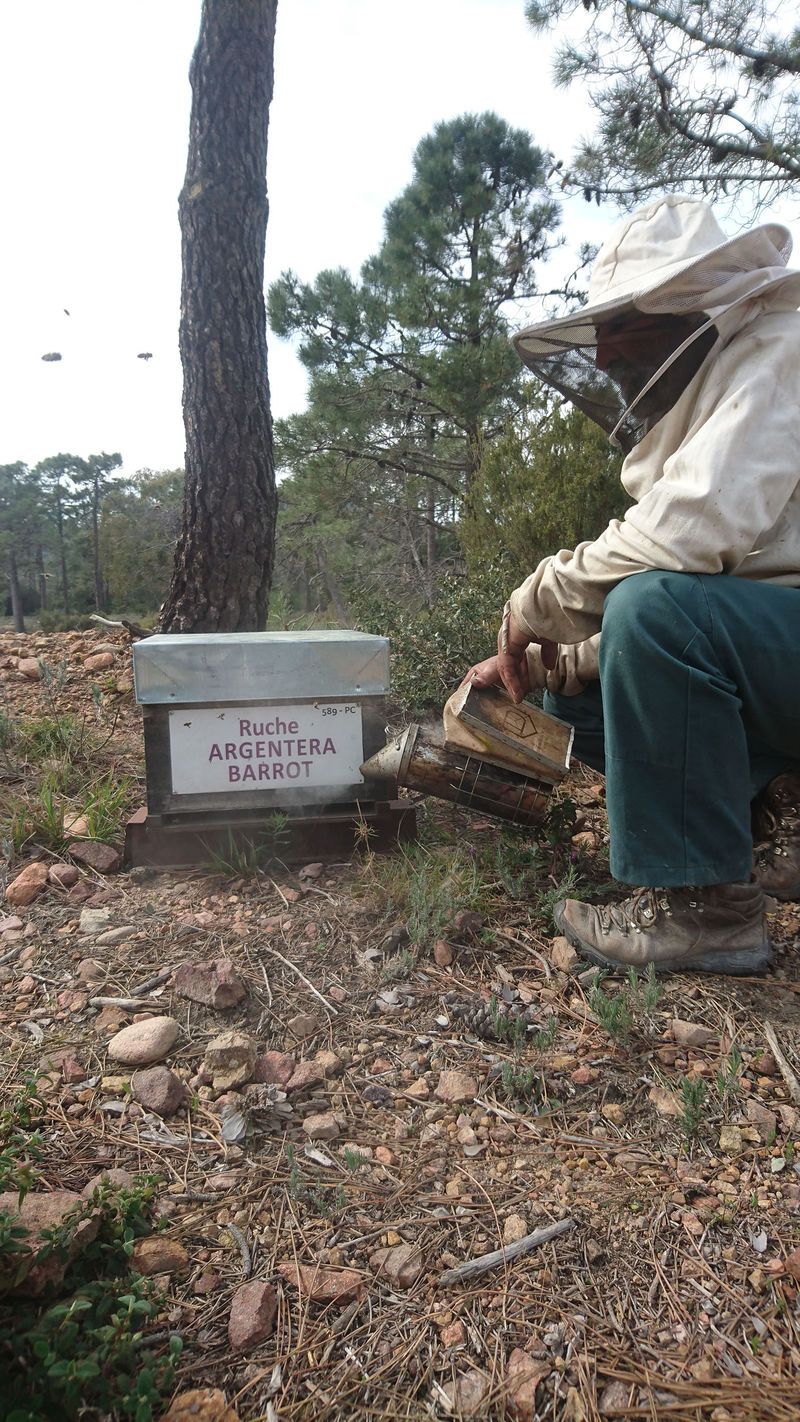La ruche Argentera-Barrot