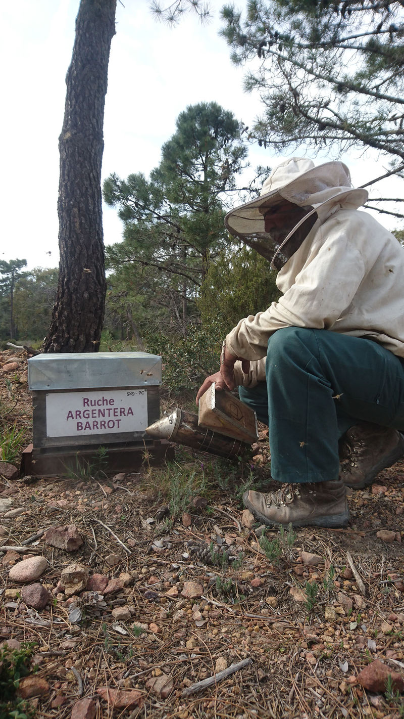 La ruche Argentera-Barrot