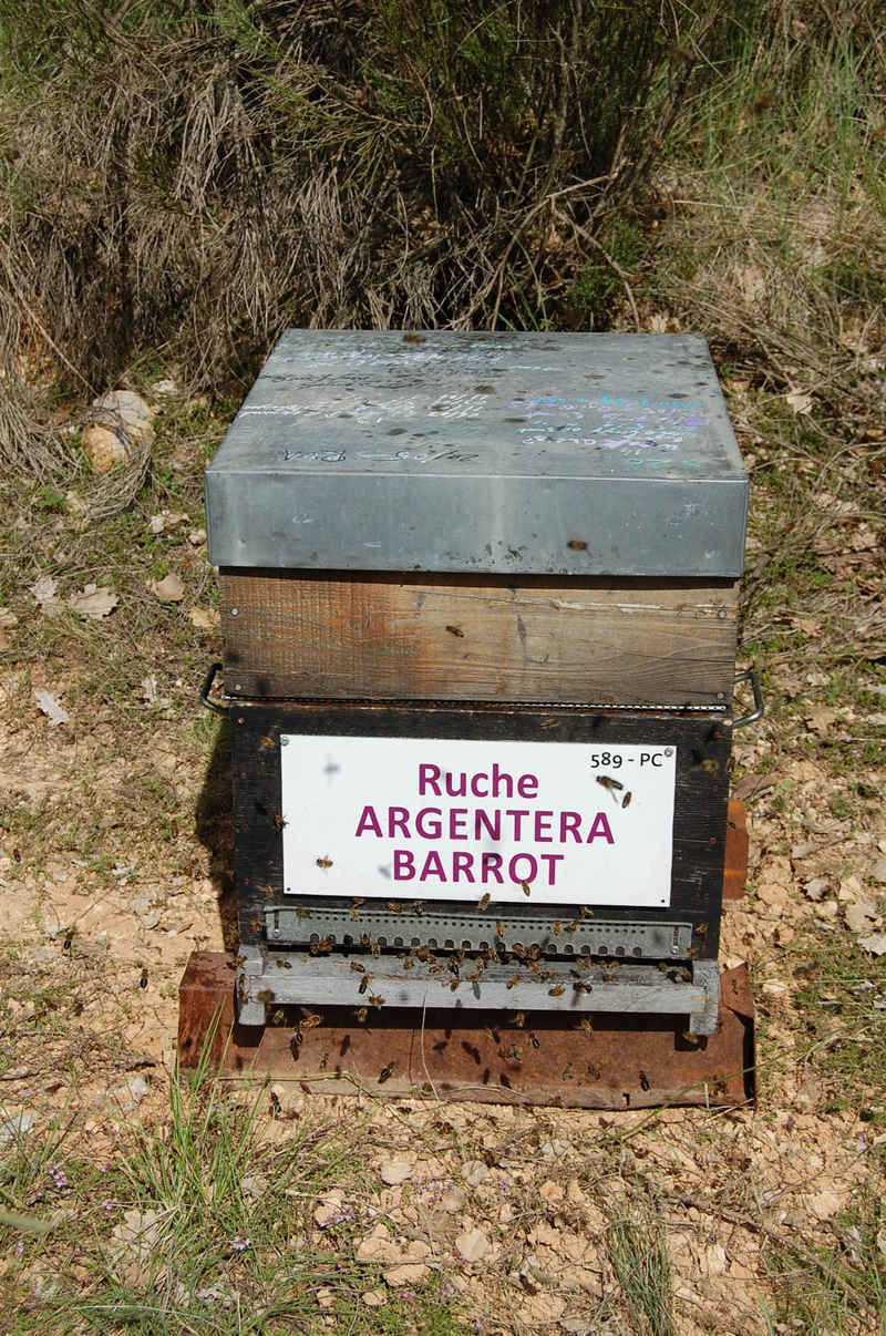 La ruche Argentera-Barrot