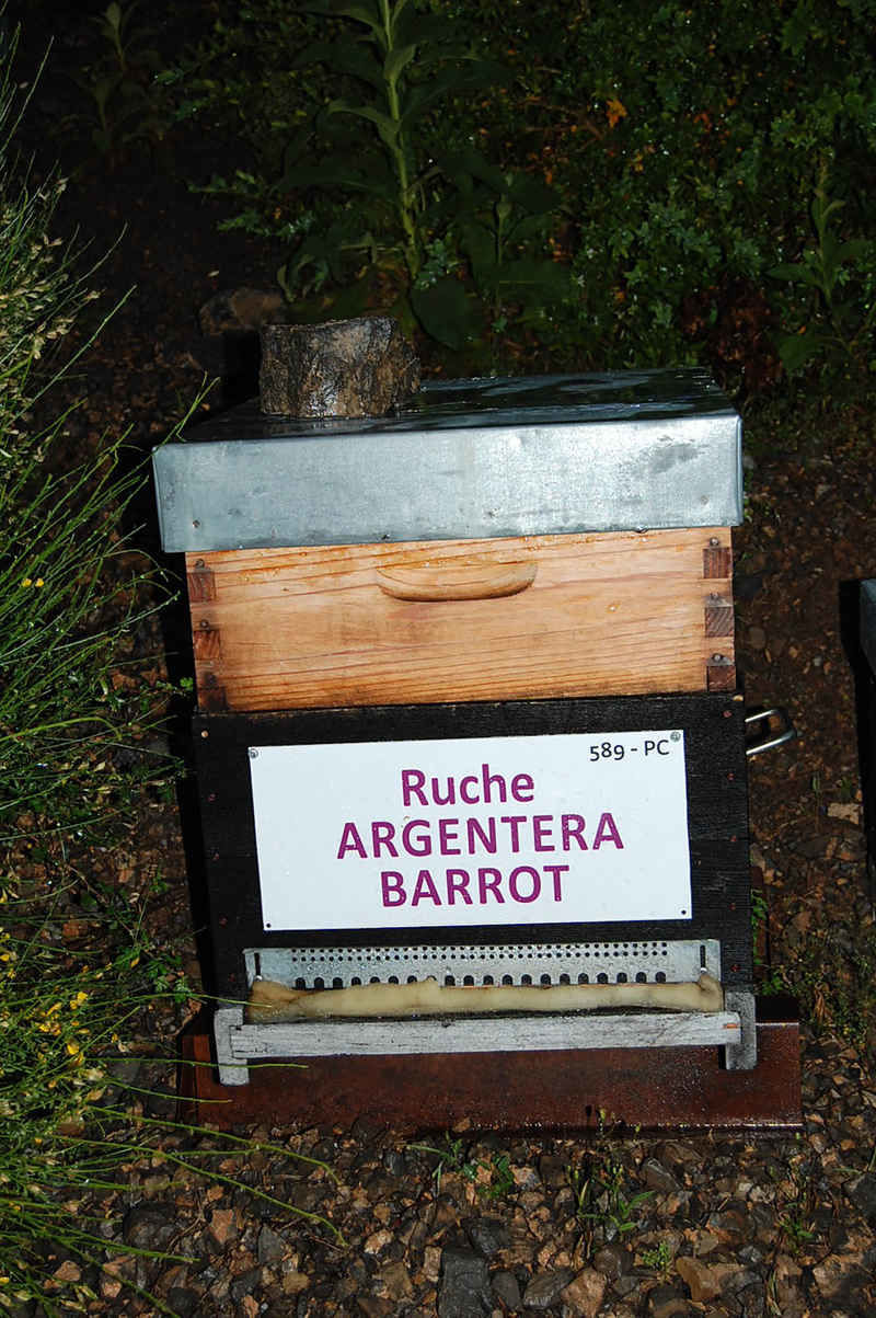 La ruche Argentera-Barrot