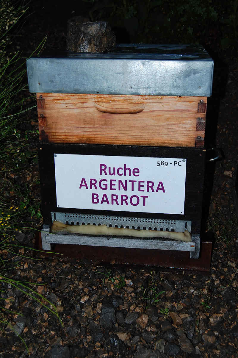 La ruche Argentera-Barrot