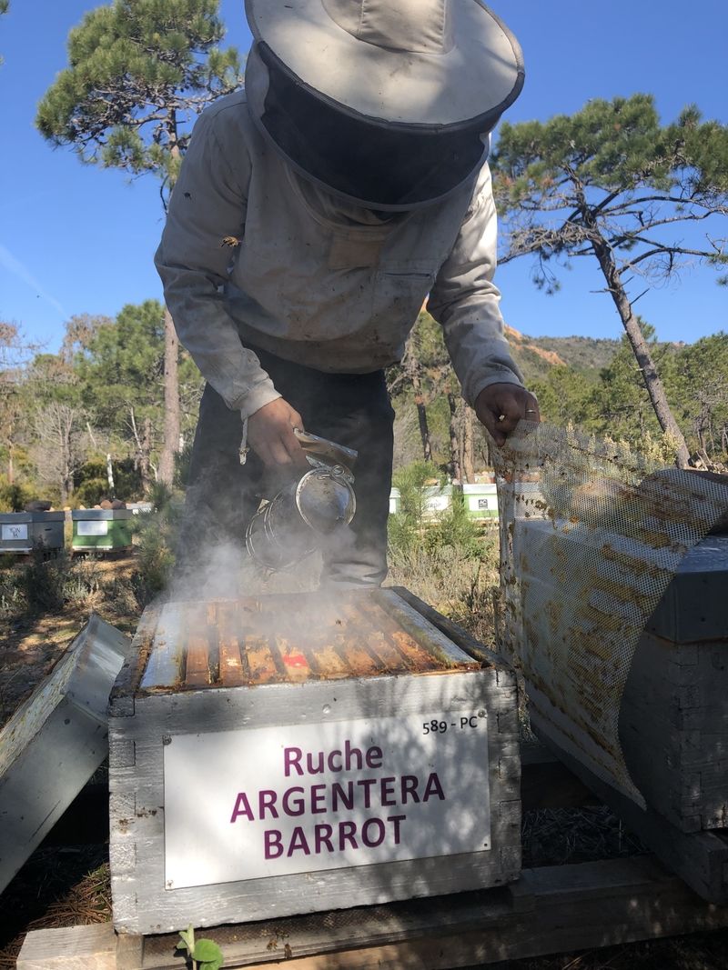 La ruche Argentera-Barrot